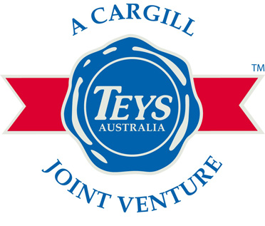 Shared Teys Logo