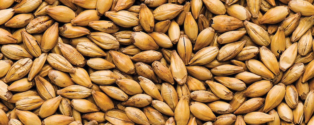 Kilned Caramel Malts Cargill Australia