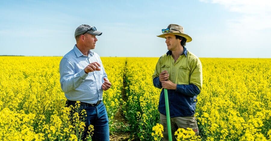 canola farmers
