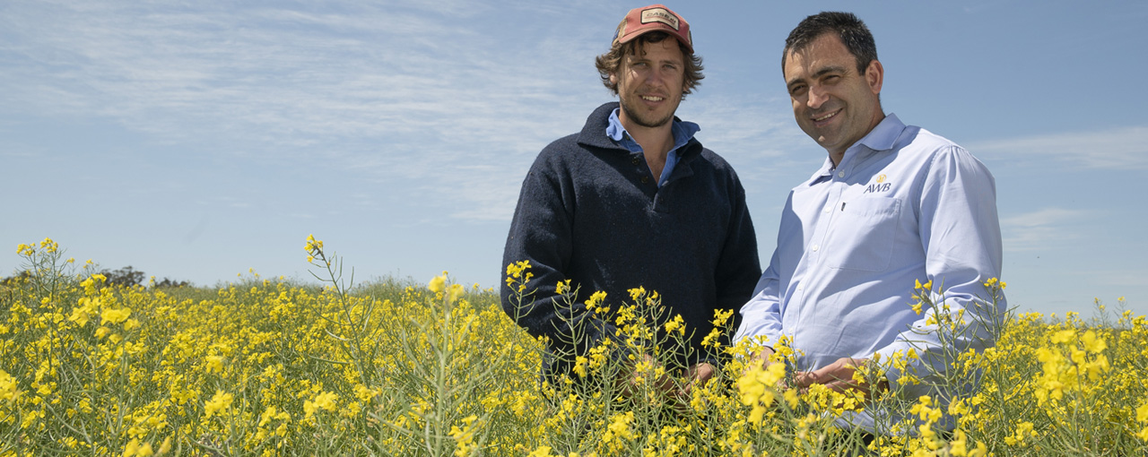 AWB - Speciality Canola Program