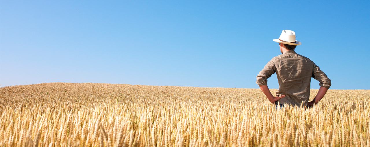 AWB - Flexible Commodity Pricing Contract