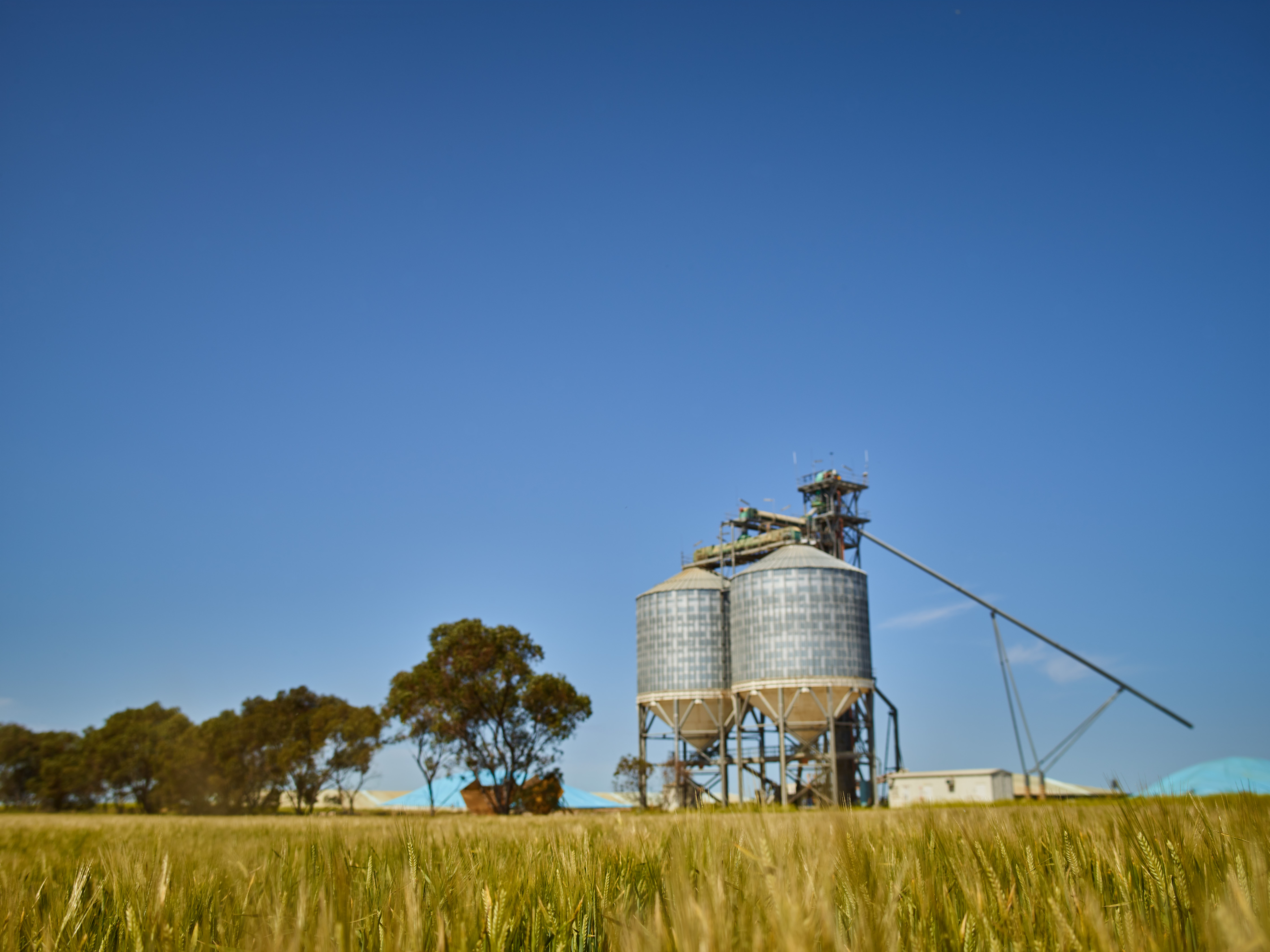 Grain Storage and Handling image