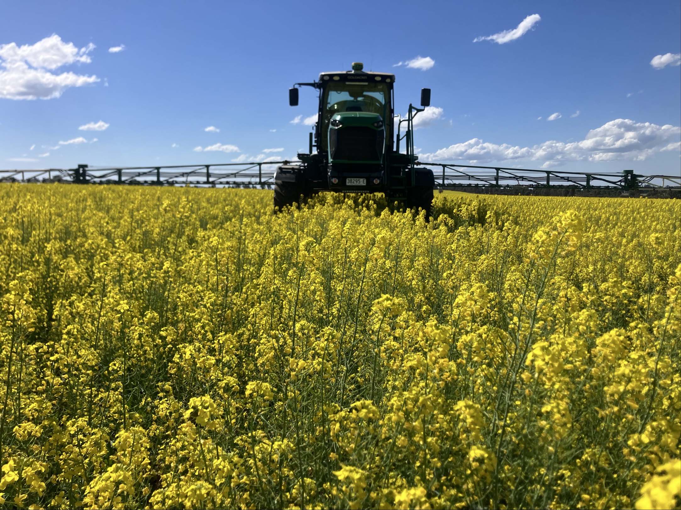 Harvest_300925