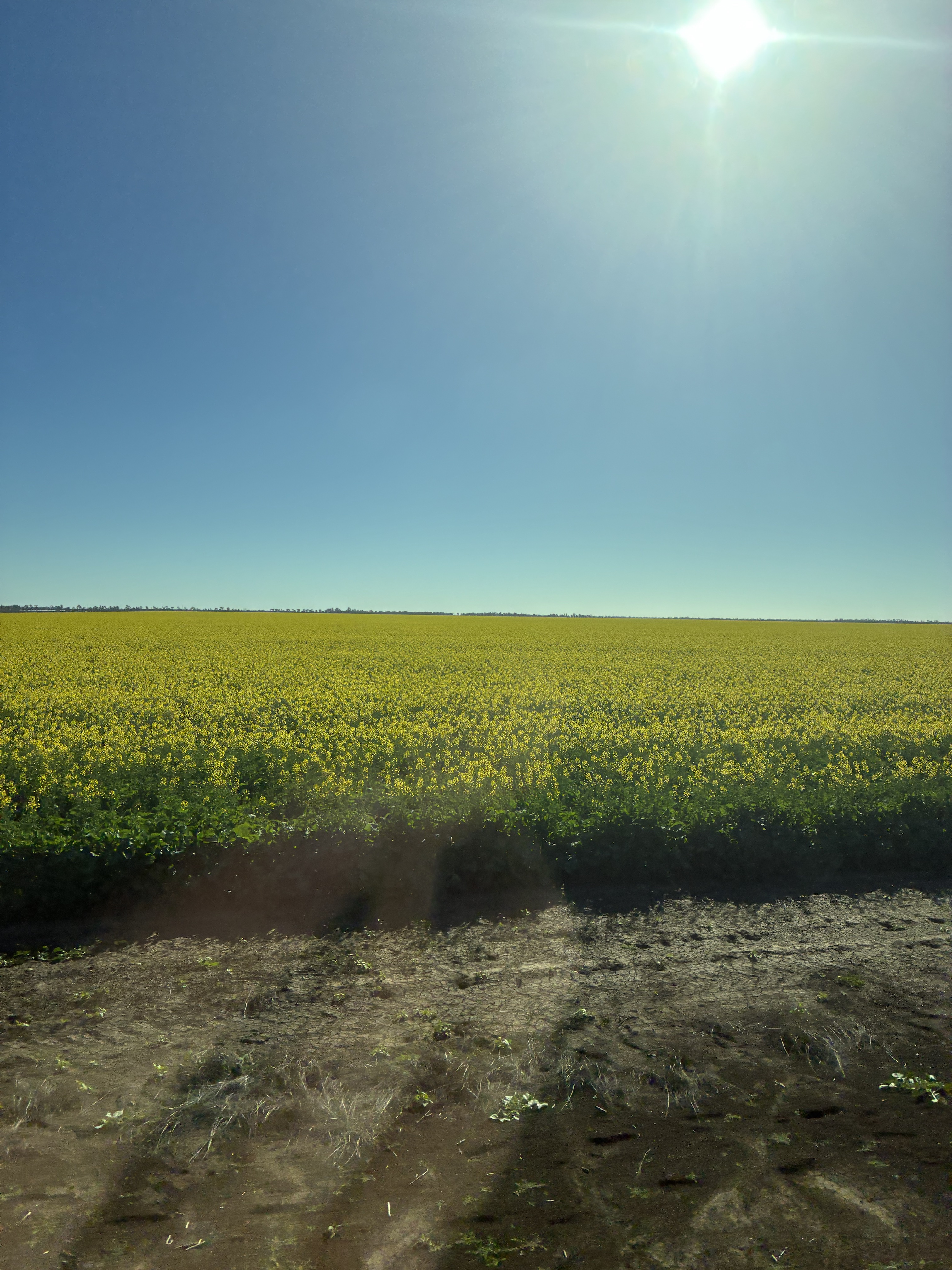 Crop_030826